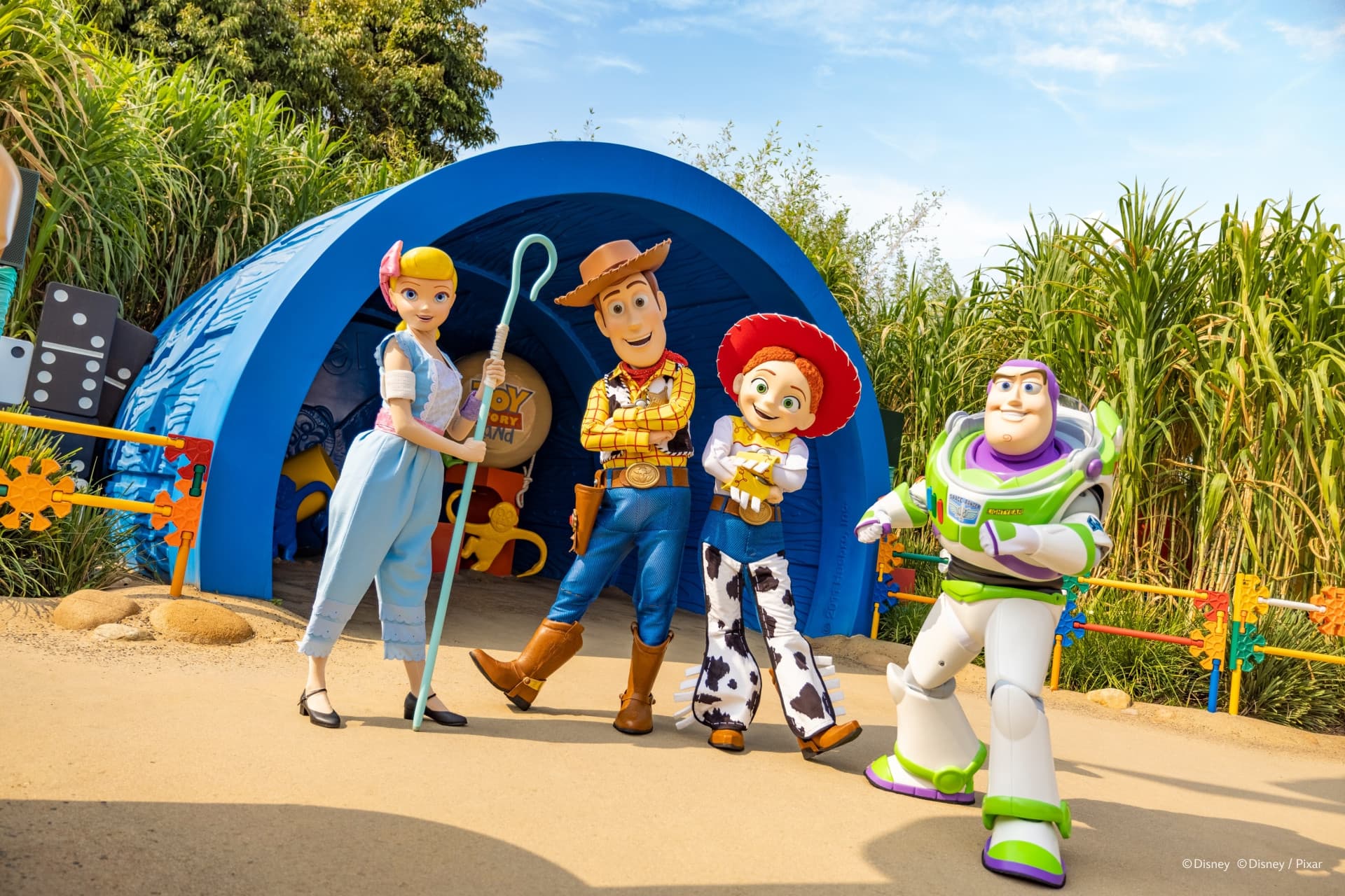 Hong Kong Disneyland Park Ticket - image 13